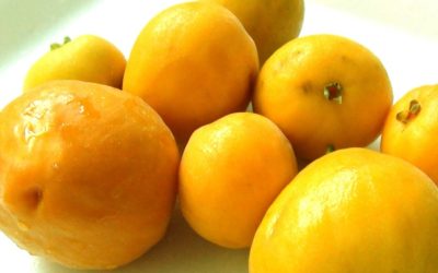 Uvaia: fruta brasileira tem 4 vezes mais vit...