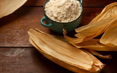 Waxy maize: o que é e para que serve